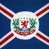 cone da Bandeira de Delfinpolis