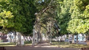 Aniversrio de Campo Belo