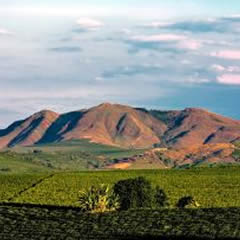Serra de Trs Pontas