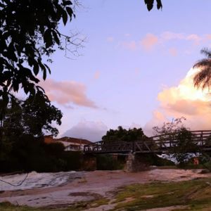 Horto Florestal
