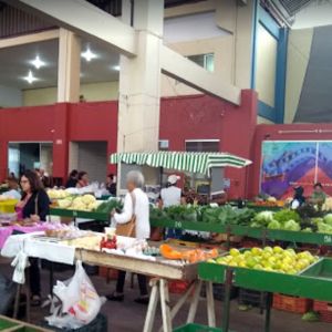 Mercado Municipal