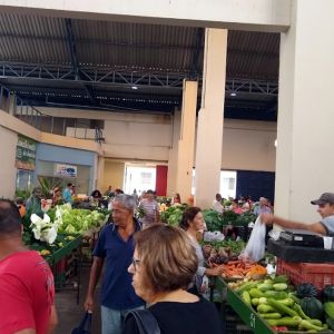Mercado Municipal