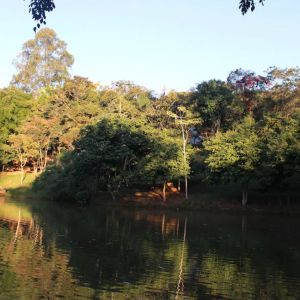 Cachoeira do Macuco