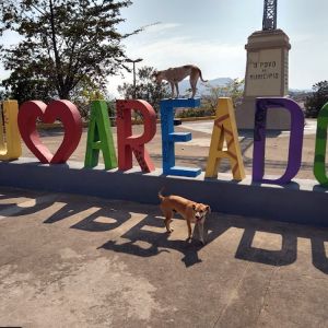 Alto do Cruzeiro