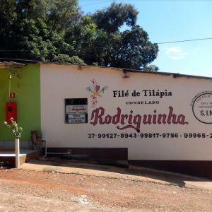Cachaa Rodriguinha