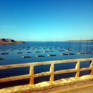 Ponte das Amoras