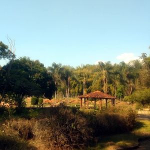 Horto Municipal