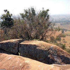 Serra da Matinada