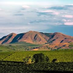 Serra de Trs Pontas