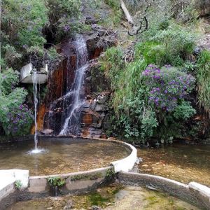 Restaurante e Lanchonete Bica D'gua