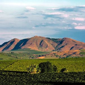 Serra de Trs Pontas