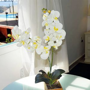  Apartamento Turmalina