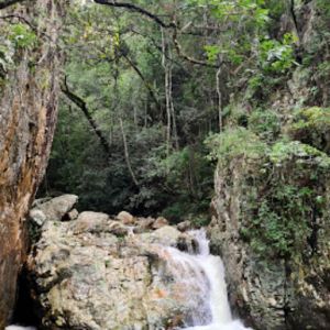 Cachoeira do Melado