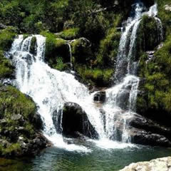 Cachoeira do Ouro