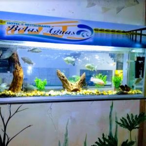 Restaurante Belas guas