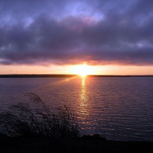 Ilha do Mangabal